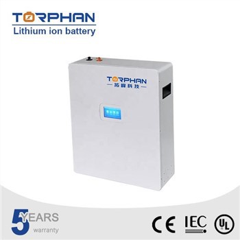 lithium hjemme-ion batteri